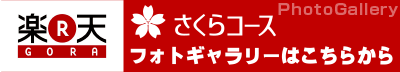 さくらコースフォトギャラリー